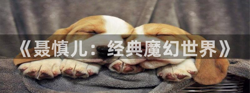 飘零电影院理论片：《聂慎儿：经典魔幻世界》