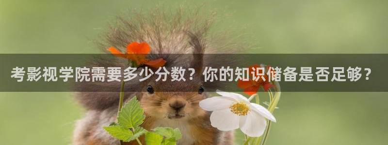 未来飘零影院：考影视学院需要多少分数？你的知识储备是否足够？