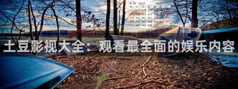 飘零影院在线观看：土豆影视大全：观看最全面的娱乐内容