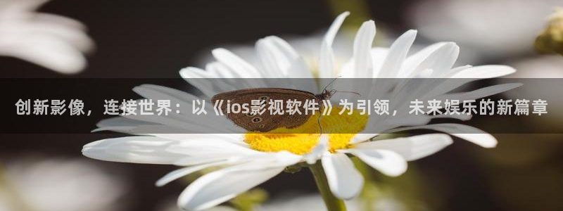 飘零影院2020：创新影像，连接世界：以《ios影视软件》为引领，未来娱乐的新篇章
