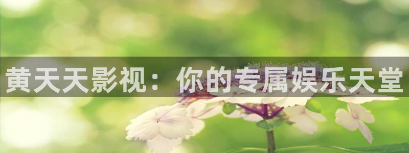 飘零影院中文在线观看：黄天天影视：你的专属娱乐天堂
