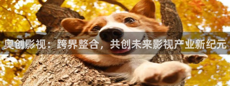 飘零影院电影电视剧免费观看：奥创影视：跨界整合，共创未来影视产业新纪元
