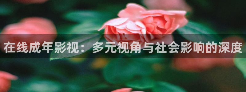 飘零影院pl：在线成年影视：多元视角与社会影响的深度