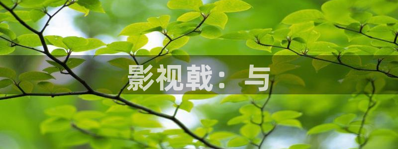 新视觉影院飘零
